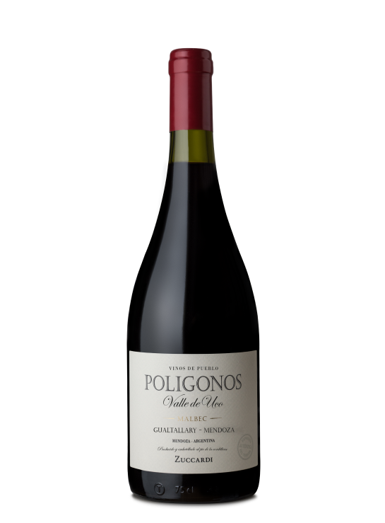 Zuccardi Políginos Gualtallary Malbec