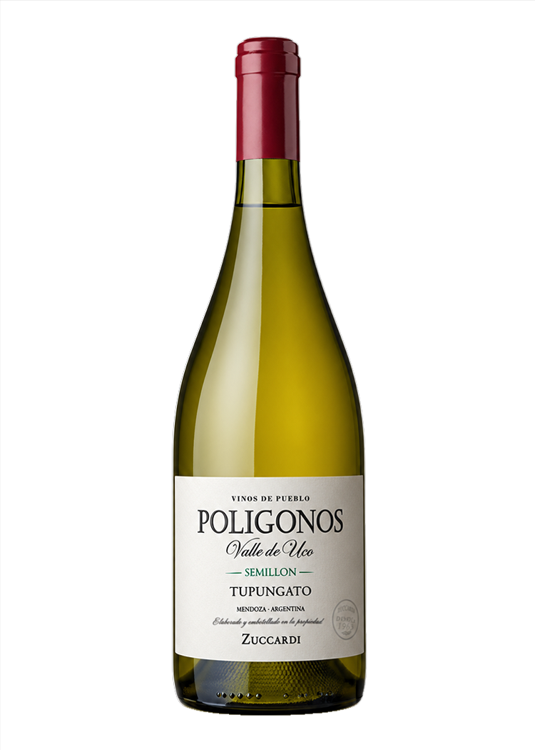 Zuccardi Polígonos Tupungato Sauvignon Blanc